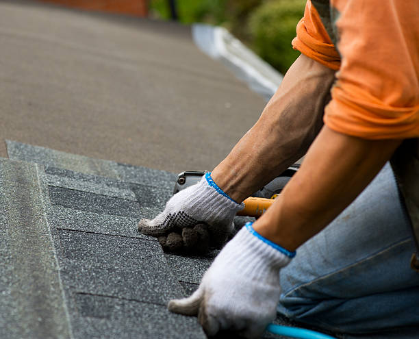 Best Roof Restoration Services  in Bainbridge, OH