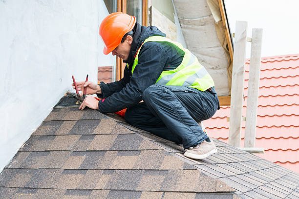 Best Roof Gutter Cleaning  in Bainbridge, OH